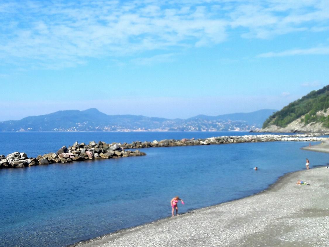 A group of people on a beach near a body of waterDescription generated with very high confidence