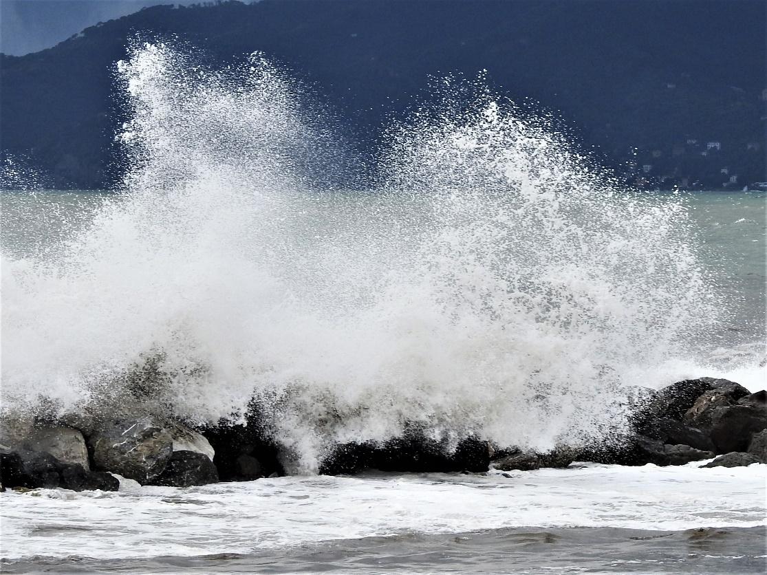 A large body of waterDescription generated with very high confidence