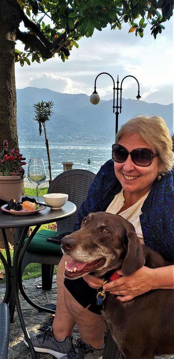 A dog wearing sunglassesDescription automatically generated