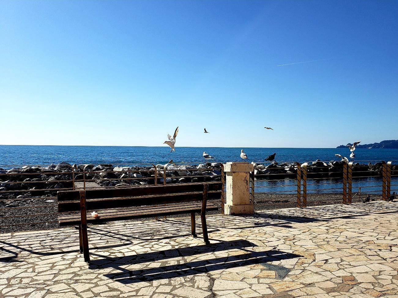 A bench on a beachDescription automatically generated with medium confidence