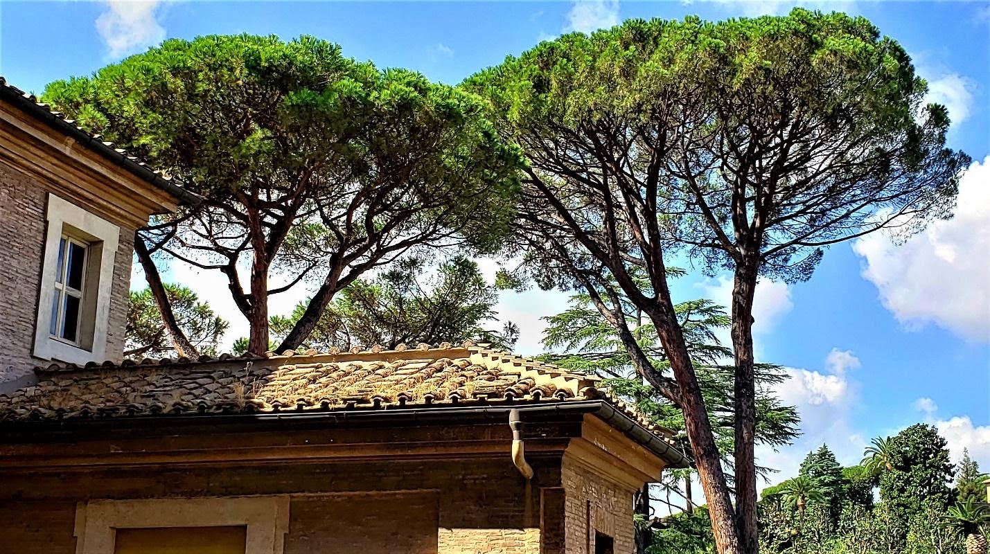 A house with trees in the backDescription automatically generated with low confidence