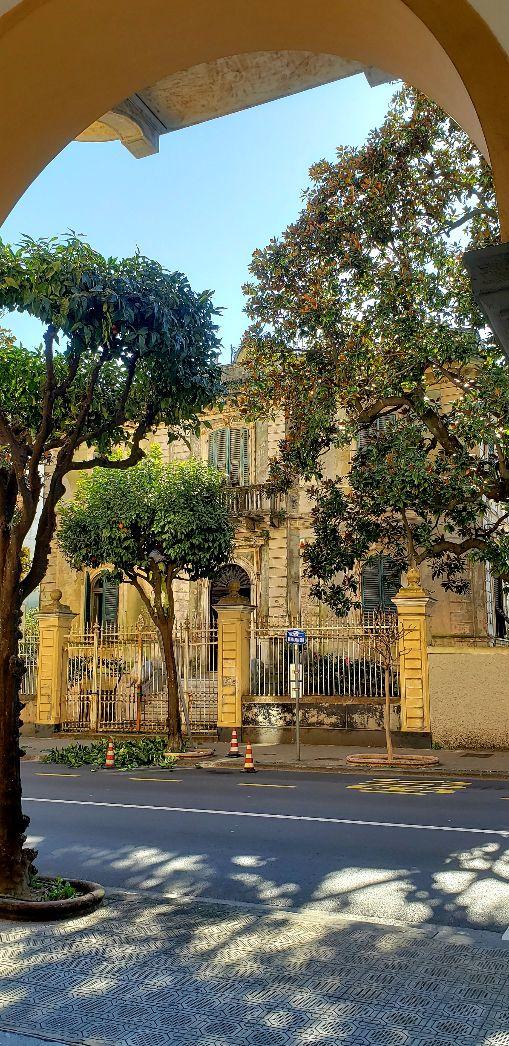 A picture containing tree, arch, plantDescription automatically generated