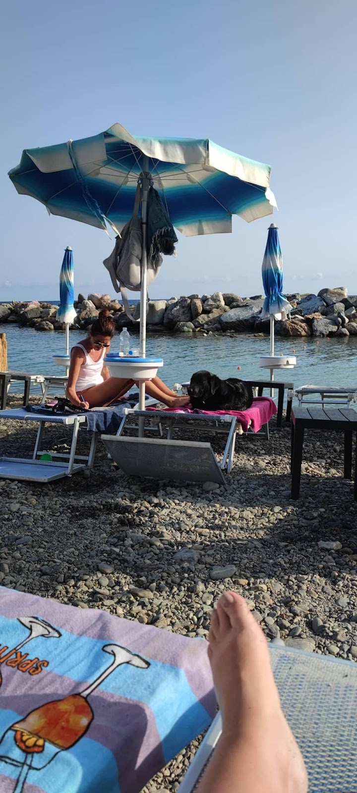 A person sitting under an umbrella on a beachDescription automatically generated with medium confidence