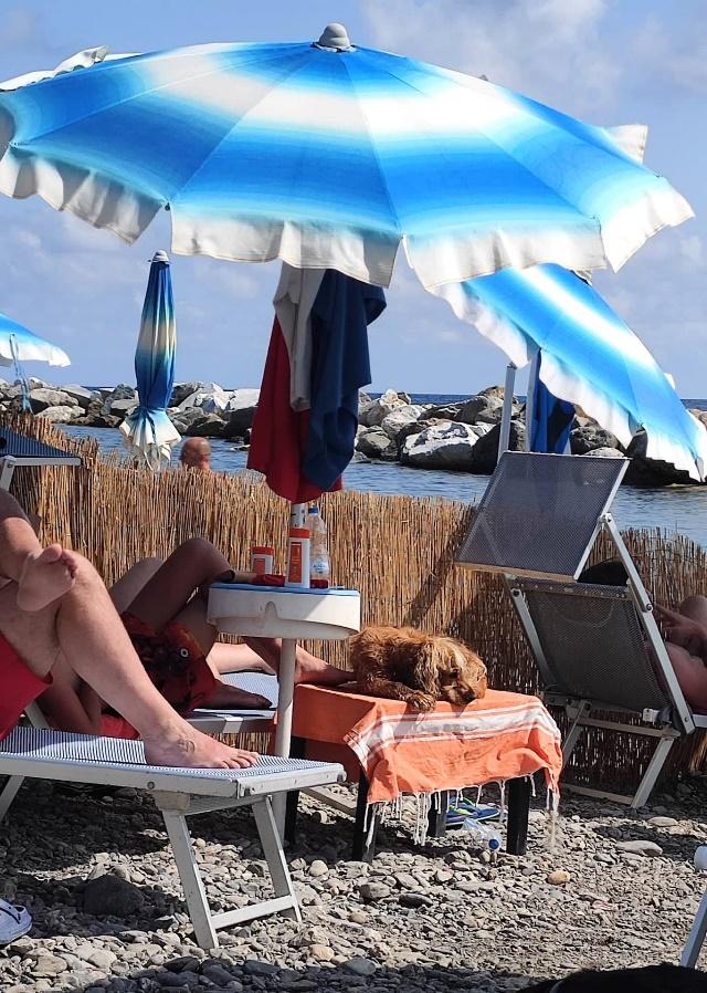 A picture containing ground, umbrella, outdoor, chairDescription automatically generated