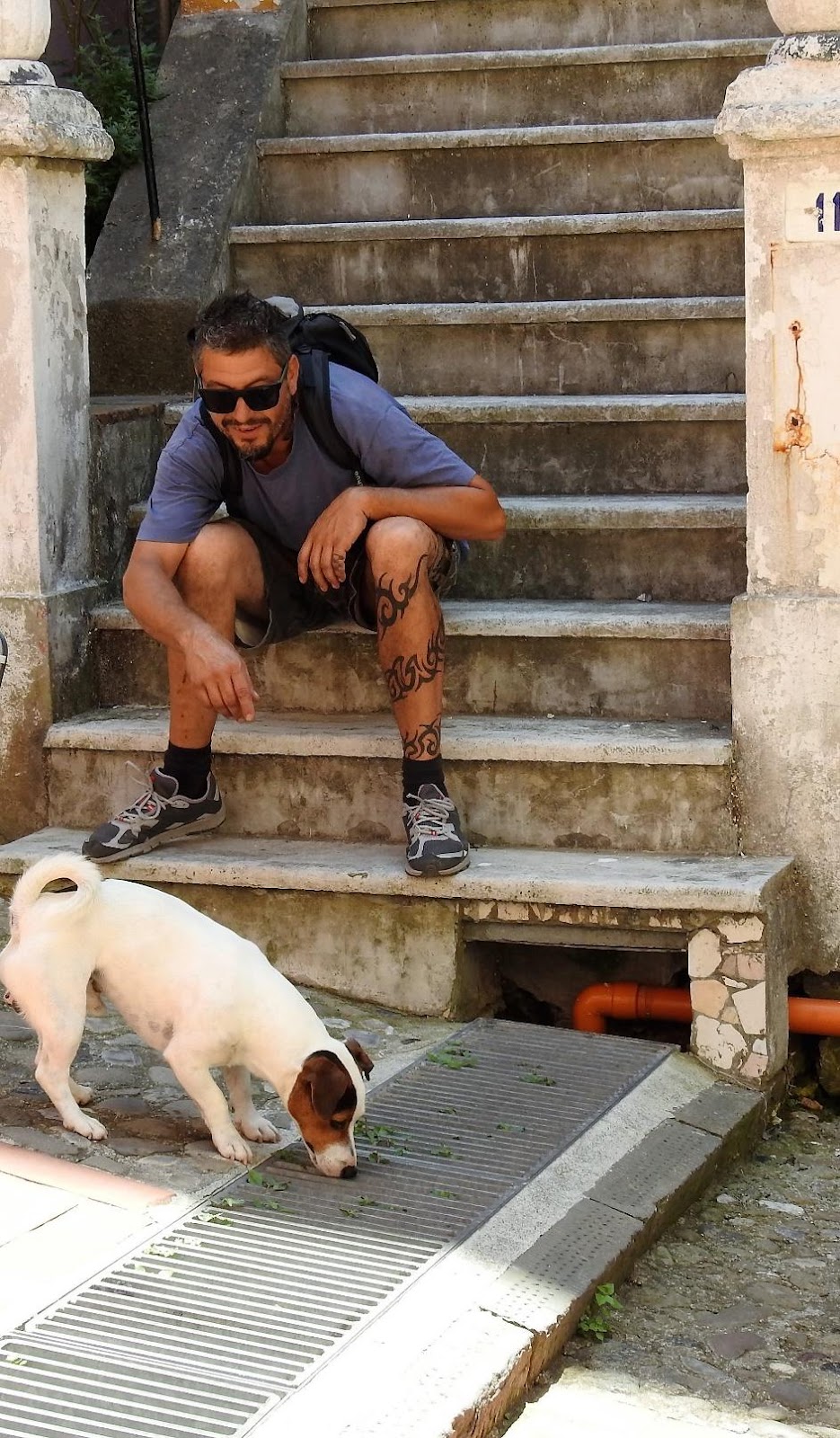 A person sitting on stairs with a dogDescription automatically generated with medium confidence