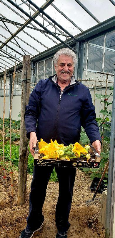 A person holding a tray of flowersDescription automatically generated with low confidence