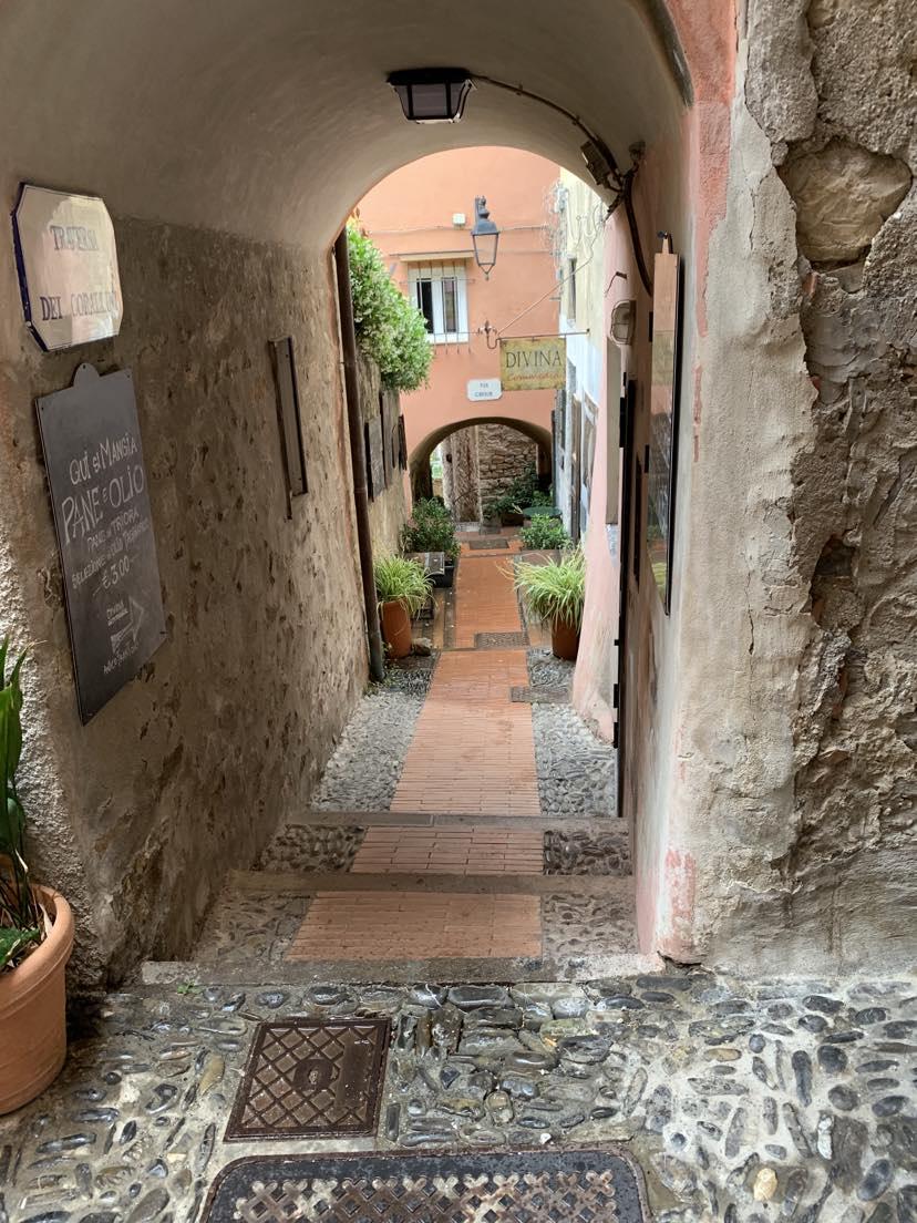 A stone archway with plants in itDescription automatically generated