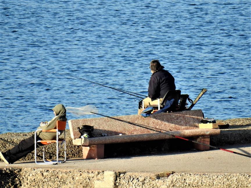 A person fishing on a dockAI-generated content may be incorrect.