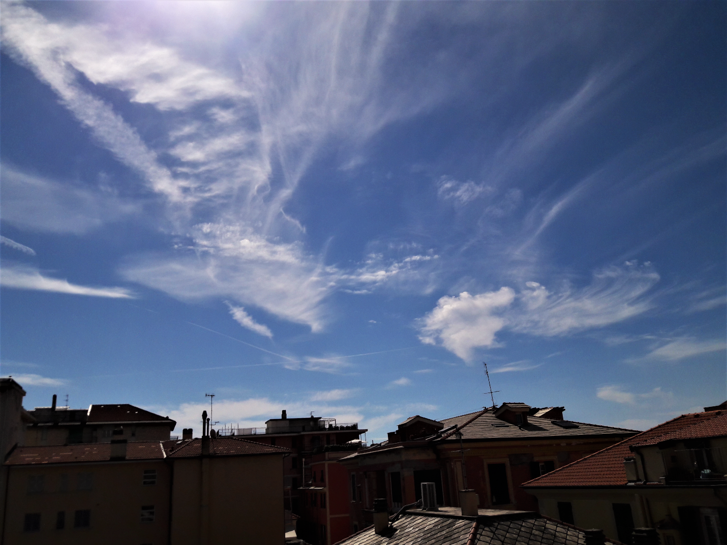 C:\Users\Owner\AppData\Local\Microsoft\Windows\INetCache\Content.Word\The Sky Bird.png